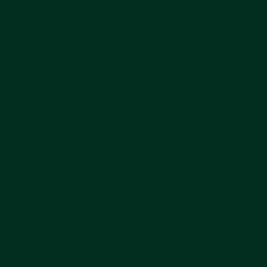 STLT MEDIUM BOTTLE GREEN TOWEL 17/37 INCHES