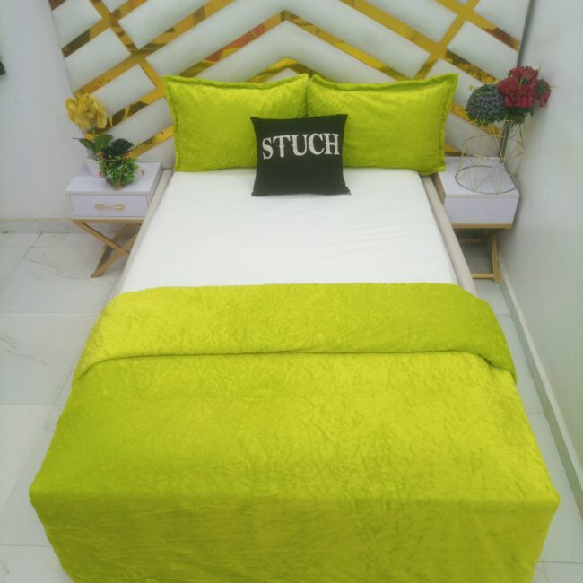 Img 20230606 095343 336 Scaled - Lemon Green Fur Duvet With 2 Pillow Case