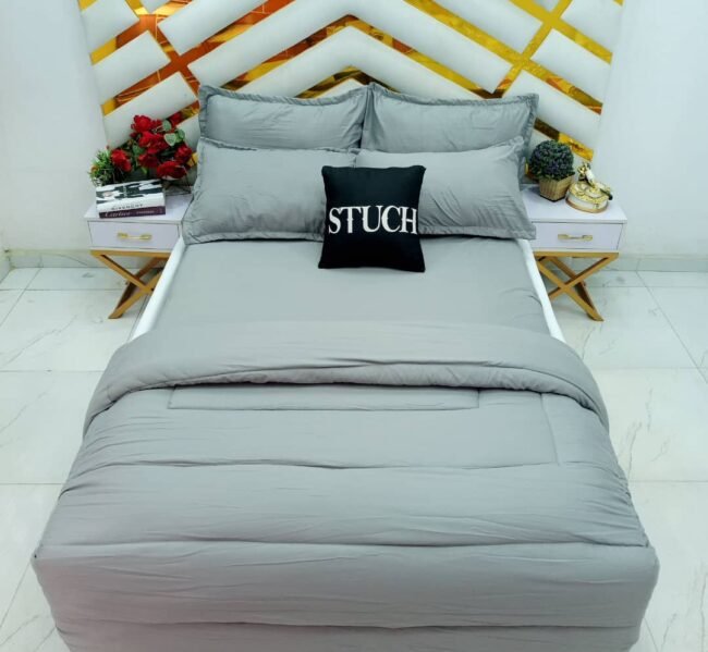 PLAIN ASH 4/6 DUVET SET(WITH TWO PILLOWCASE)