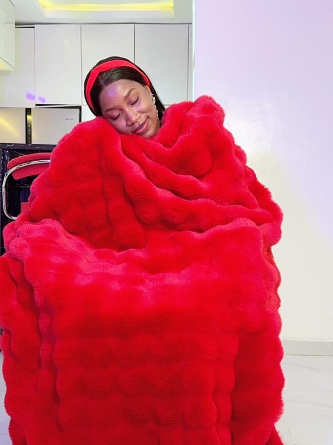 LUXURY RED SOFA THROW BLANKET FOR COUCH (45/72 INCHES) - Image 2